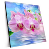 Xxl Wandbild Orchideen Blueten Quadrat Produktvorschau Seitlich
