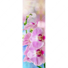Xxl Wandbild Orchideen Blueten Schmal Motivvorschau