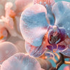 Xxl Wandbild Orchideenblueten In Pastell Panorama Zoom