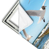 Xxl Wandbild Ostseekueste Moewen Hochformat Materialvorschau