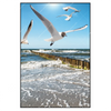 Xxl Wandbild Ostseekueste Moewen Hochformat Produktvorschau Frontal