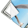 Xxl Wandbild Ostseekueste Moewen Panorama Materialvorschau