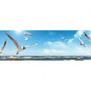 Xxl Wandbild Ostseekueste Moewen Panorama Motivvorschau