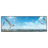 Xxl Wandbild Ostseekueste Moewen Panorama Produktvorschau Frontal
