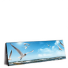 Xxl Wandbild Ostseekueste Moewen Panorama Produktvorschau Seitlich