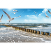 Xxl Wandbild Ostseekueste Moewen Querformat Motivvorschau