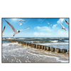 Xxl Wandbild Ostseekueste Moewen Querformat Produktvorschau Frontal