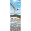 Xxl Wandbild Ostseekueste Moewen Schmal Motivvorschau