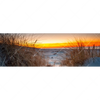 Xxl Wandbild Ostseestrand Bei Sonnenuntergang Panorama Motivvorschau