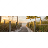 Xxl Wandbild Palmen Am Strandweg Panorama Motivvorschau