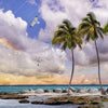 Xxl Wandbild Palmen Auf Insel Panorama Zoom