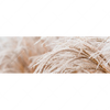 Xxl Wandbild Pampasgras Panorama Motivvorschau