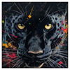 Xxl Wandbild Panther Farbexplosion Quadrat Produktvorschau Frontal