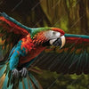 Xxl Wandbild Papagei Im Flug Querformat Zoom