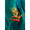 Xxl Wandbild Paradiesvogelblume Hochformat Motivvorschau