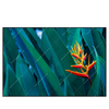 Xxl Wandbild Paradiesvogelblume Querformat Produktvorschau Frontal