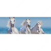 Xxl Wandbild Pferdeherde Am Strand Panorama Motivvorschau