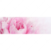 Xxl Wandbild Pfingstrose Panorama Motivvorschau
