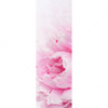 Xxl Wandbild Pfingstrose Schmal Motivvorschau