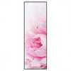 Xxl Wandbild Pfingstrose Schmal Produktvorschau Frontal