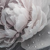 Xxl Wandbild Pony Flowers Hochformat Zoom