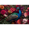 Xxl Wandbild Prachtvoller Pfau Und Blueten Querformat Motivvorschau