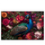 Xxl Wandbild Prachtvoller Pfau Und Blueten Querformat Produktvorschau Frontal
