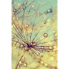 Xxl Wandbild Pusteblume Bei Sonnenuntergang Hochformat Motivvorschau