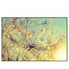 Xxl Wandbild Pusteblume Bei Sonnenuntergang Querformat Produktvorschau Frontal