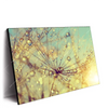 Xxl Wandbild Pusteblume Bei Sonnenuntergang Querformat Produktvorschau Seitlich