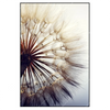 Xxl Wandbild Pusteblume Hochformat Produktvorschau Frontal