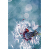 Xxl Wandbild Pusteblume Marienkaefer Hochformat Motivvorschau