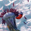 Xxl Wandbild Pusteblume Marienkaefer Querformat Zoom