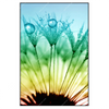 Xxl Wandbild Pusteblume Mit Tautropfen Hochformat Produktvorschau Frontal