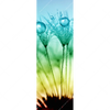 Xxl Wandbild Pusteblume Mit Tautropfen Schmal Motivvorschau