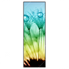 Xxl Wandbild Pusteblume Mit Tautropfen Schmal Produktvorschau Frontal