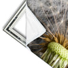 Xxl Wandbild Pusteblume No 10 Hochformat Materialvorschau