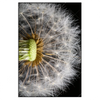 Xxl Wandbild Pusteblume No 10 Hochformat Produktvorschau Frontal