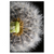 Xxl Wandbild Pusteblume No 10 Hochformat Produktvorschau Frontal