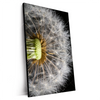 Xxl Wandbild Pusteblume No 10 Hochformat Produktvorschau Seitlich