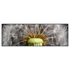 Xxl Wandbild Pusteblume No 10 Panorama Produktvorschau Frontal