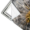 Xxl Wandbild Pusteblume No 10 Quadrat Materialvorschau