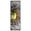 Xxl Wandbild Pusteblume No 10 Schmal Produktvorschau Frontal