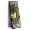 Xxl Wandbild Pusteblume No 10 Schmal Produktvorschau Seitlich