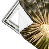 Xxl Wandbild Pusteblume No 11 Hochformat Materialvorschau