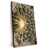 Xxl Wandbild Pusteblume No 11 Hochformat Produktvorschau Seitlich