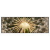 Xxl Wandbild Pusteblume No 11 Panorama Produktvorschau Frontal