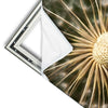 Xxl Wandbild Pusteblume No 11 Quadrat Materialvorschau