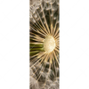 Xxl Wandbild Pusteblume No 11 Schmal Motivvorschau