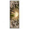 Xxl Wandbild Pusteblume No 11 Schmal Produktvorschau Frontal